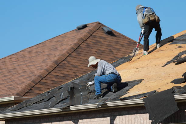Best Green or Eco-Friendly Roofing Solutions  in Thief River Falls, MN