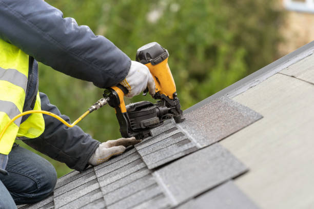 Best Chimney Flashing Repair  in Thief River Falls, MN