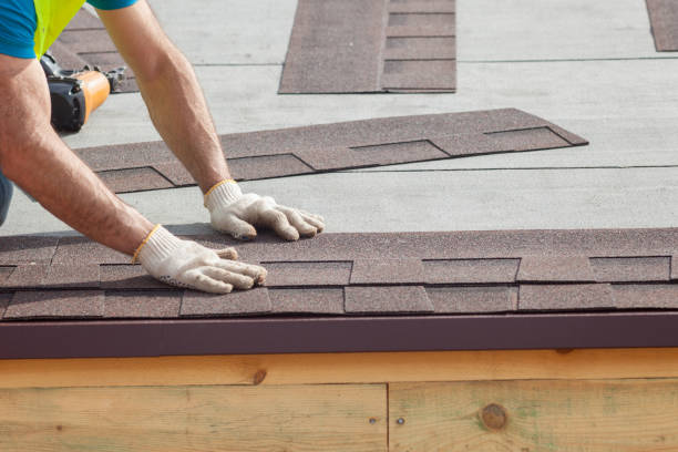 Best Metal Roofing Installation  in Thief River Falls, MN
